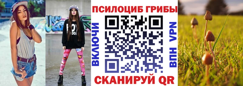Псилоцибиновые грибы Psilocybe  Туран 