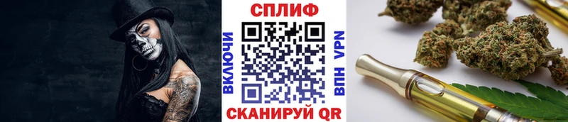 где найти Туран Канабис семена